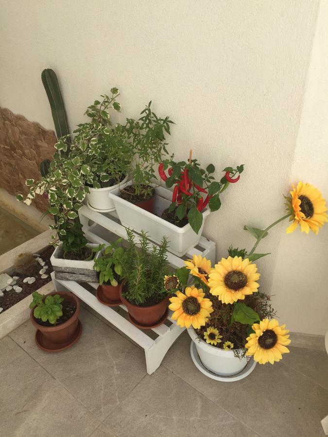 Caelum Case Vacanza Trapani Exterior photo